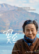 剑侠风云录：顶级玩家的成长历程分享